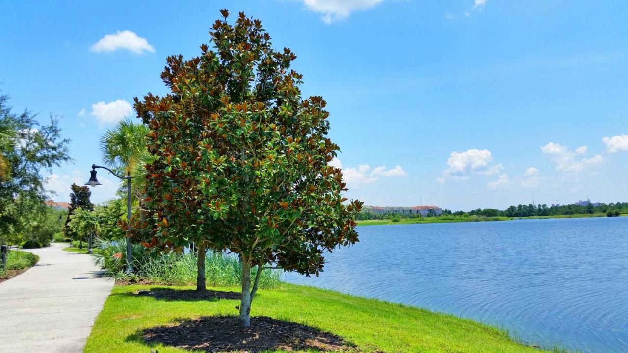 Lakeview Executive Penthouse Orlando Dış mekan fotoğraf